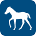 Foal