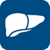 Liver Health