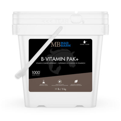 B-Vitamin Pak Equine Supplement - Mad Barn