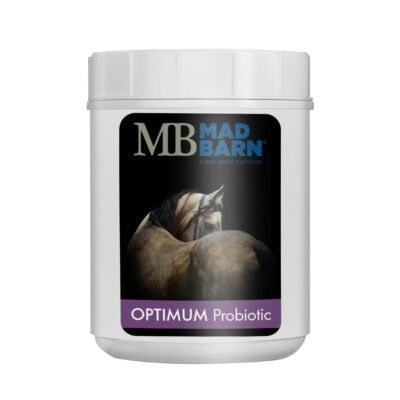 Optimum Probiotic Equine Supplement - Mad Barn