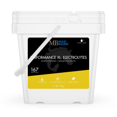 Performance XL: Electrolytes Equine Supplement - Mad Barn