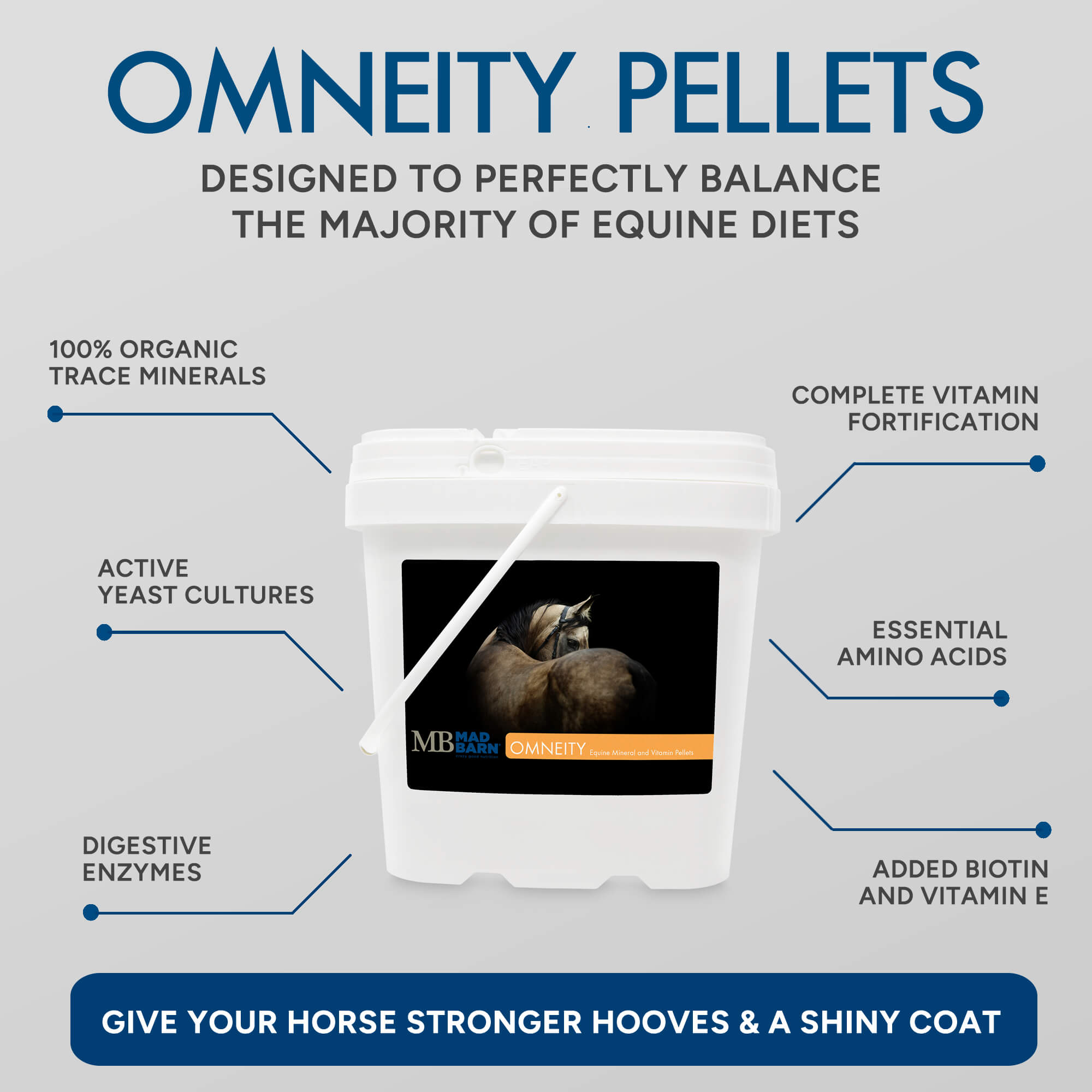 Equinutritive - No More Nerves - Calming Supplement For Horses - 100