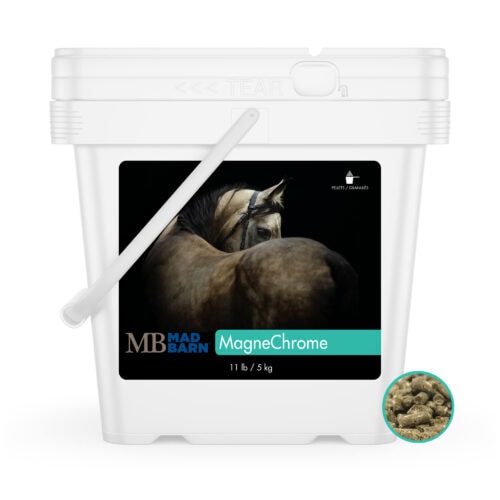 MagneChrome 5 KG - Nutritional Supplement for Metabolic Horses - Insulin Resistance - Mad Barn Equine
