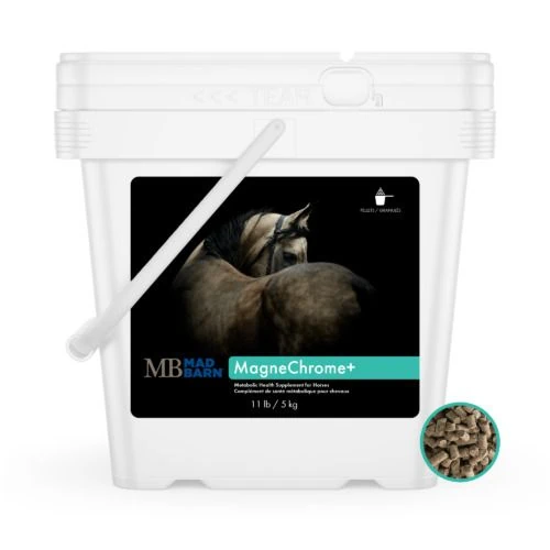 MagneChrome 5 KG - Nutritional Supplement for Metabolic Horses - Insulin Resistance - Mad Barn Equine