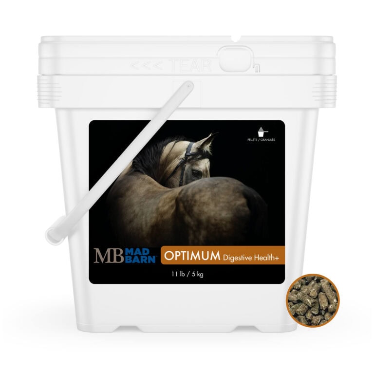 Optimum Digestive Health Pellets for Horses - 5 kg - Equine Probiotic & Prebiotic Supplement - Mad Barn
