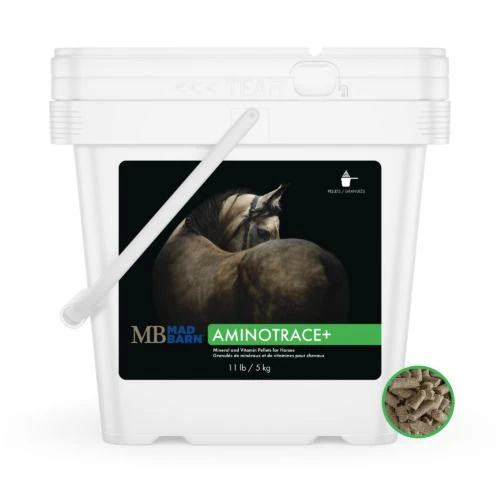 AminoTrace+ 5 kg - Vitamin & Mineral Supplement for Metabolic Horses - Pelleted - Mad Barn Equine
