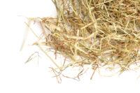 Taking a Hay Sample for Your Horse and Understanding the Analysis