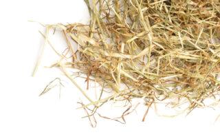 Horse Hay Analysis Forage