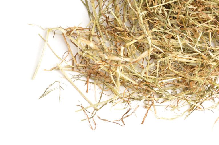 Horse Hay Analysis Forage