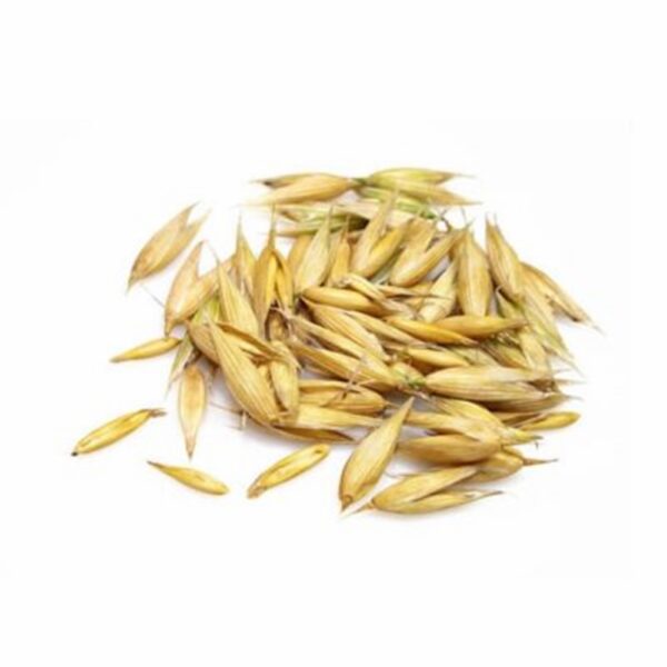 Barley Grain – 65% PI