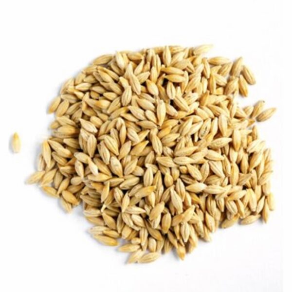 Barley Grain – 75% PI