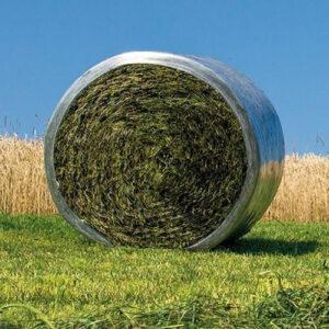 Bermuda Silage – 15% CP 55% NDF