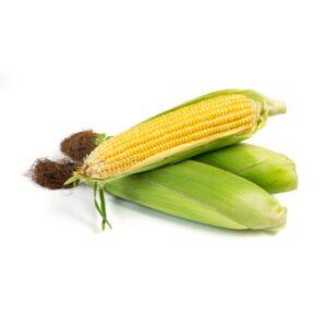 Corn Cob