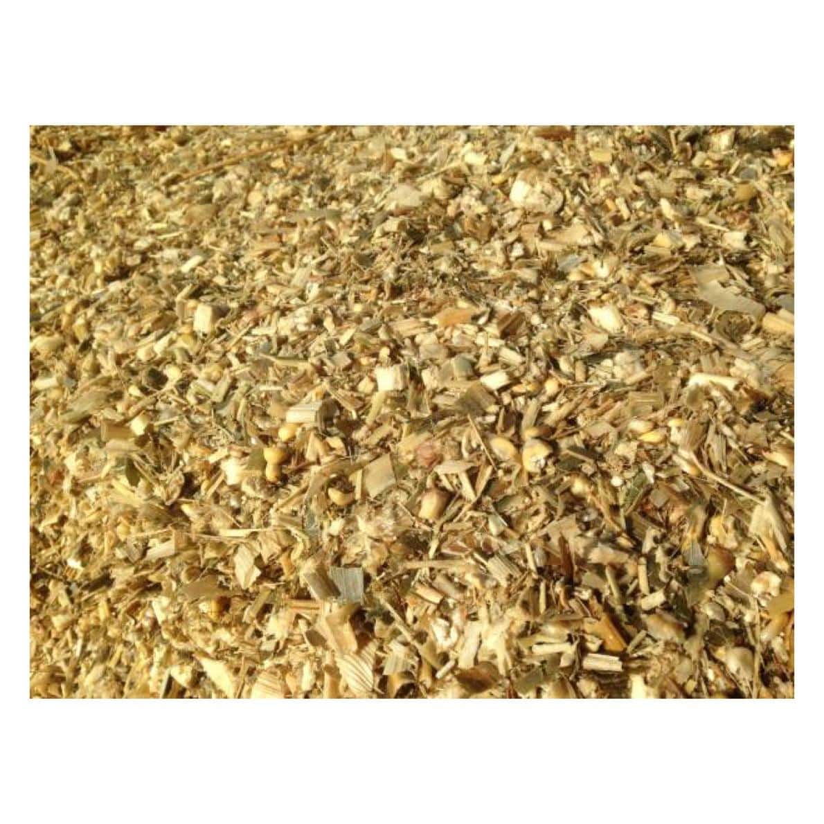 Corn Silage – 35% DM 49% NDF