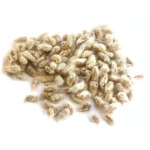 Cottonseed Whole with Lint