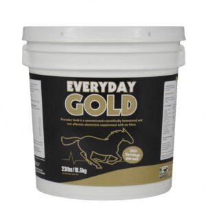 Everyday Gold Daily Electrolyte (TRM)