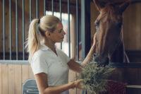 How to Supplement Trace Minerals in Your Horse’s Diet