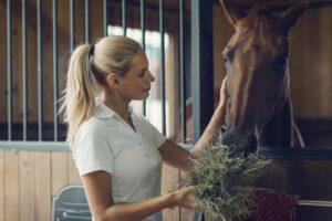 How to Supplement Trace Minerals in Your Horse’s Diet