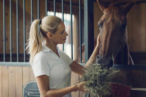How to feed trace minerals to your horse
