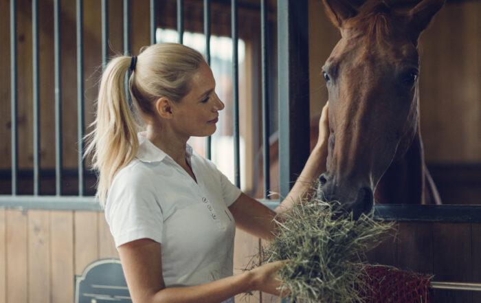 How to feed trace minerals to your horse