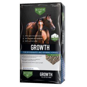 GROWTH Pelleted Horse Feed (BUCKEYE Nutrition)