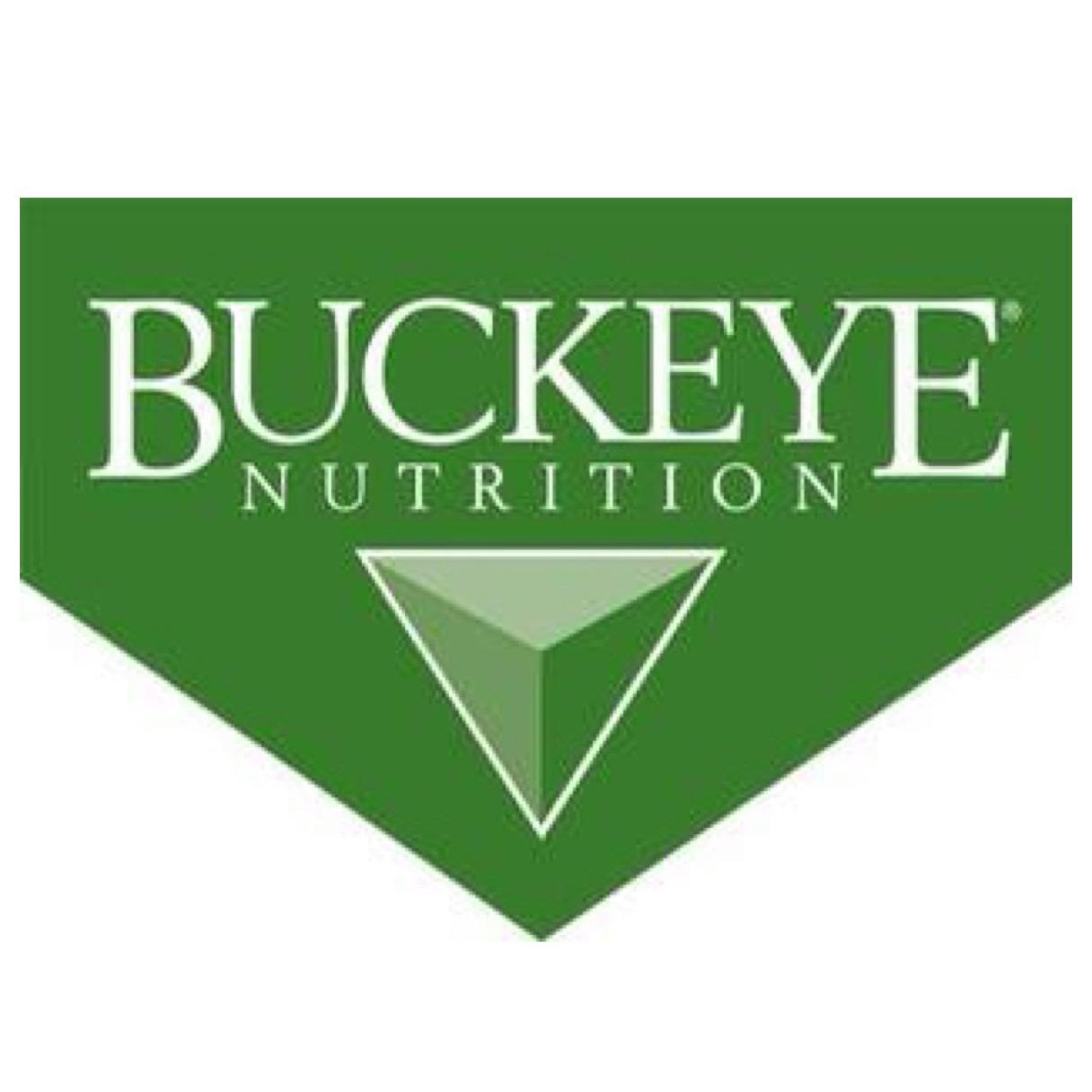 Grass Plus Vitamin & Mineral Block (BUCKEYE Nutrition)
