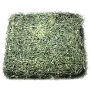 Hay Alfalfa – 25% CP 35% NDF