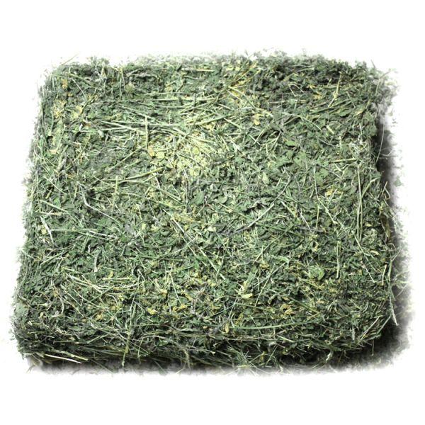 Hay Alfalfa – 25% CP 35% NDF