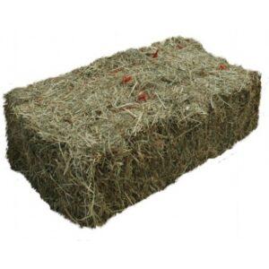 Hay Barley – 9% CP 57% NDF