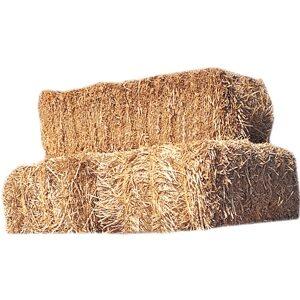 Hay Bermuda – 5% CP 80% NDF