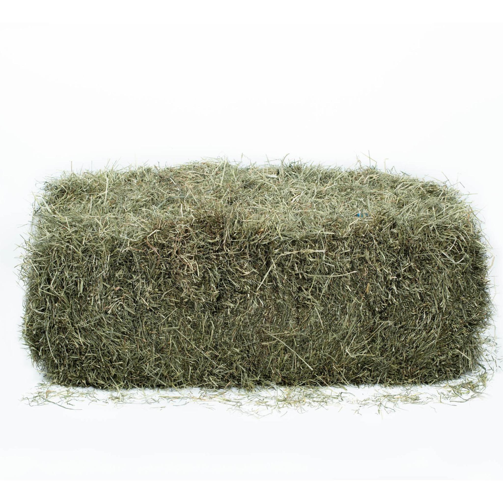 Hay Mixed – 13% CP 56% NDF