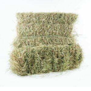 Hay Mixed – 9% CP 64% NDF