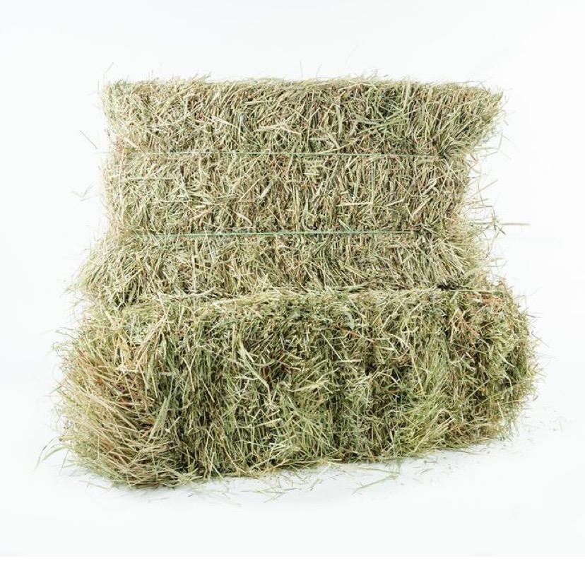 Hay Mixed – 9% CP 64% NDF