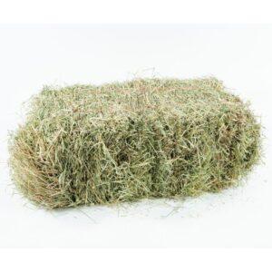 Hay Orchard – 8% CP 65% NDF