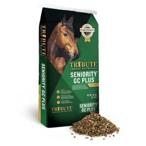 Seniority GC Plus (Tribute Equine)