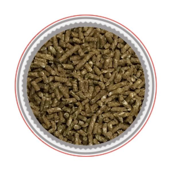 Moulee Senorita (Meunerie Mondou) – [Discontinued]