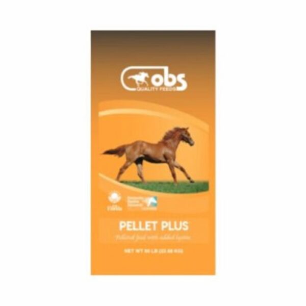 OBS Pellet Plus (Ocala Breeders Feed & Supply)