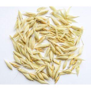 Oat Hulls