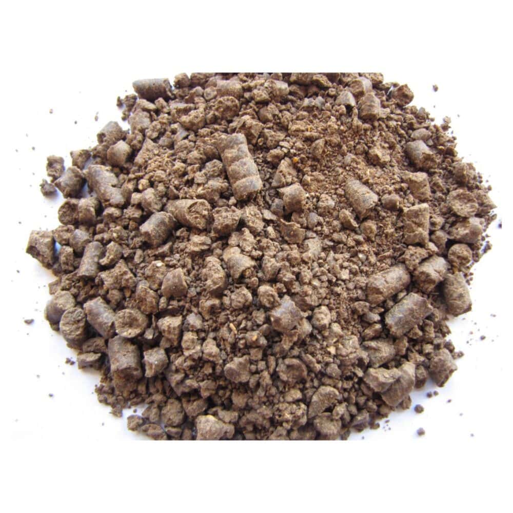 Peanut Meal – Mechanical Extraction