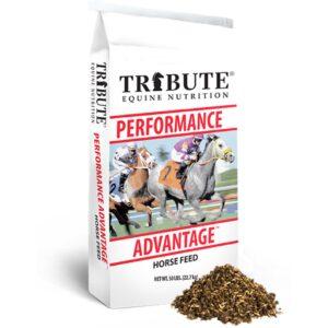 Performance Advantage (Tribute Equine)