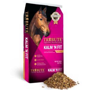 Kalm N’ Fit (Tribute Equine)