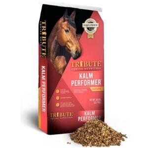 Kalm Performer (Tribute Equine)