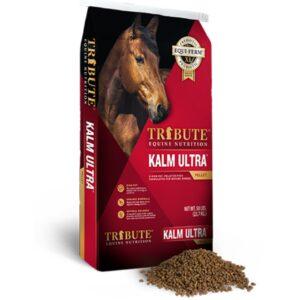 Kalm Ultra (Tribute Equine)