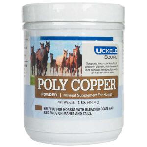 Poly Copper Powder (Uckele Health & Nutrition)