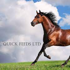 Senior (Quick Feeds)