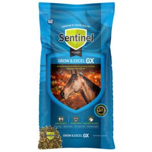 Sentinel Grow & Excel GX (Blue Seal)