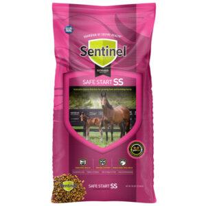 Sentinel Safe Start SS (Blue Seal)