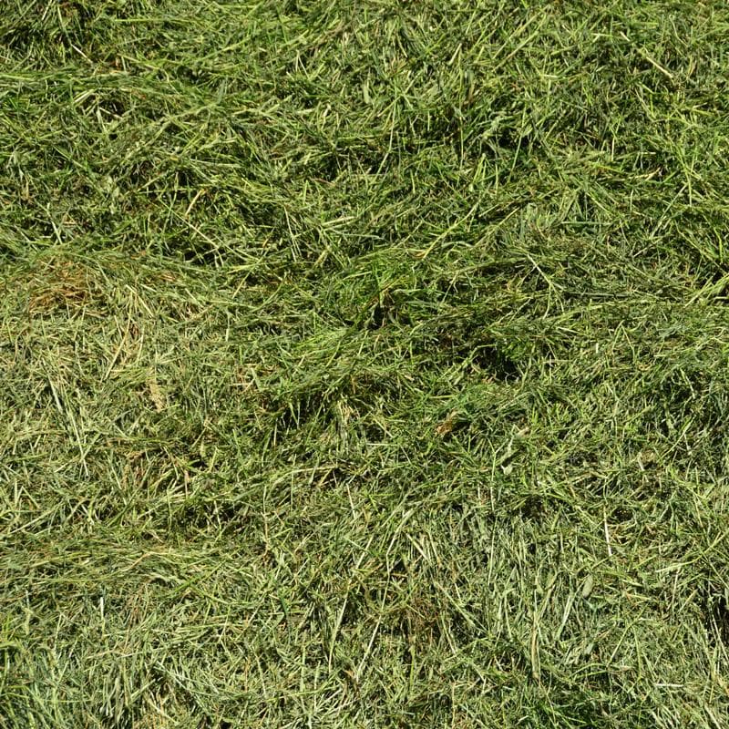 Silage Mixed – 9% CP 64% NDF