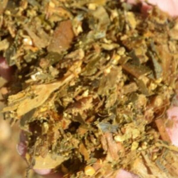 Sorghum Grain Silage – 9% CP 64% NDF