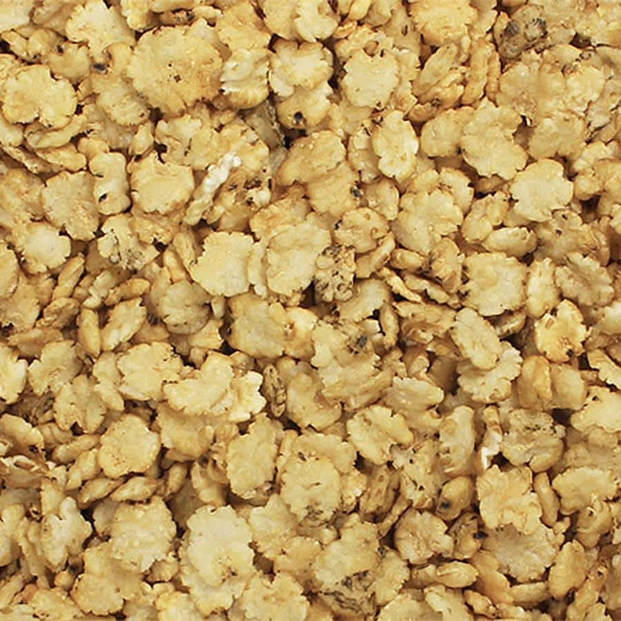 Sorghum/Milo Grain – Steam Flaked